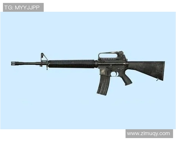 和平精英纪实：见证WE战队从新秀到冠军的成长历程与奋斗故事